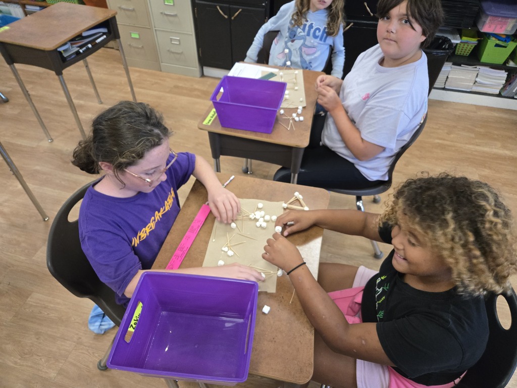 4th grade used the engineer design process to design and test a building to survived an earthquake.  