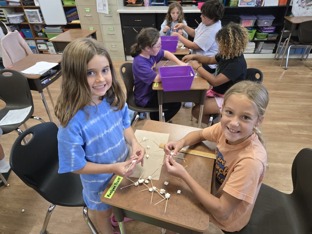 4th grade used the engineer design process to design and test a building to survived an earthquake.  