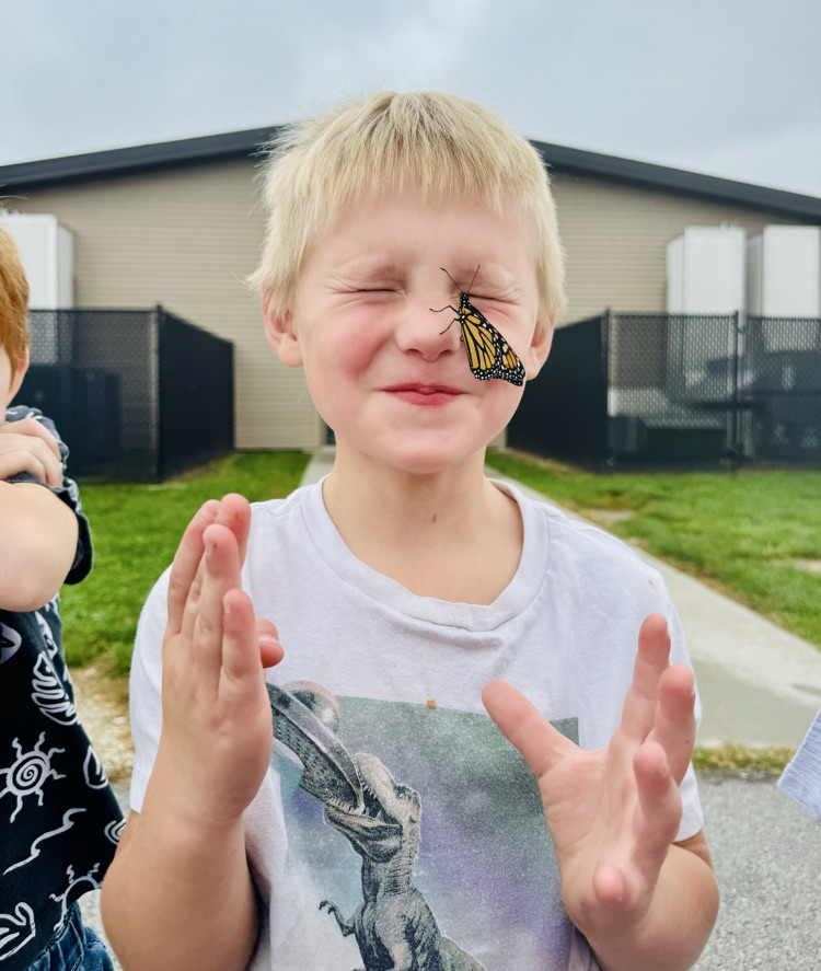 Staying calm for the butterfly!