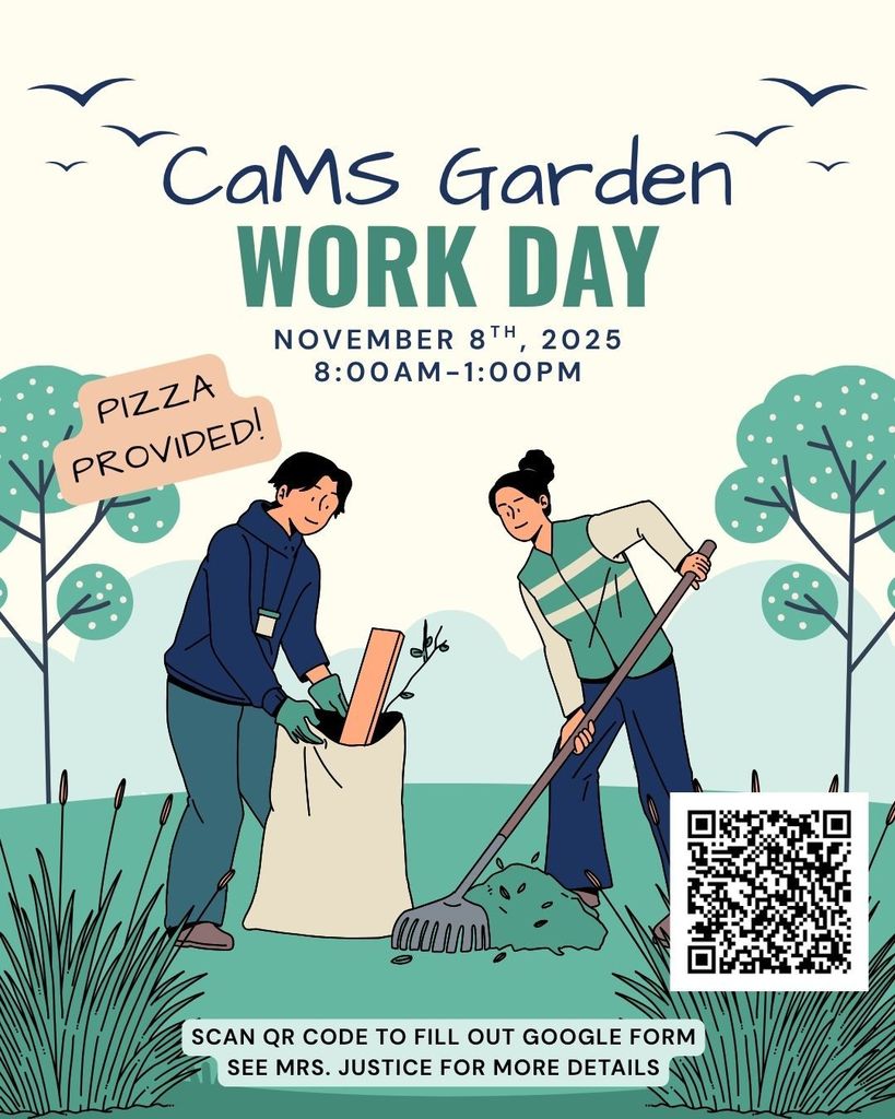 CAMS WORKDAY