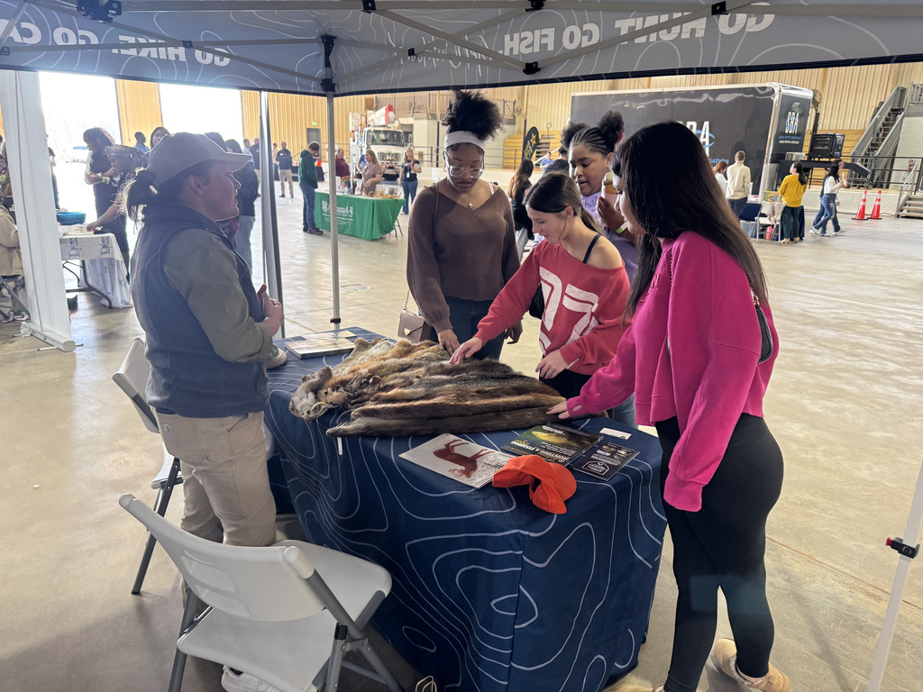 Connect to Careers 6