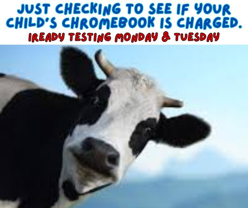 IREADY COW