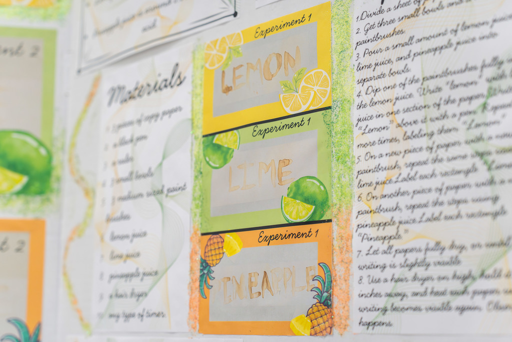 Science Fair project on display.