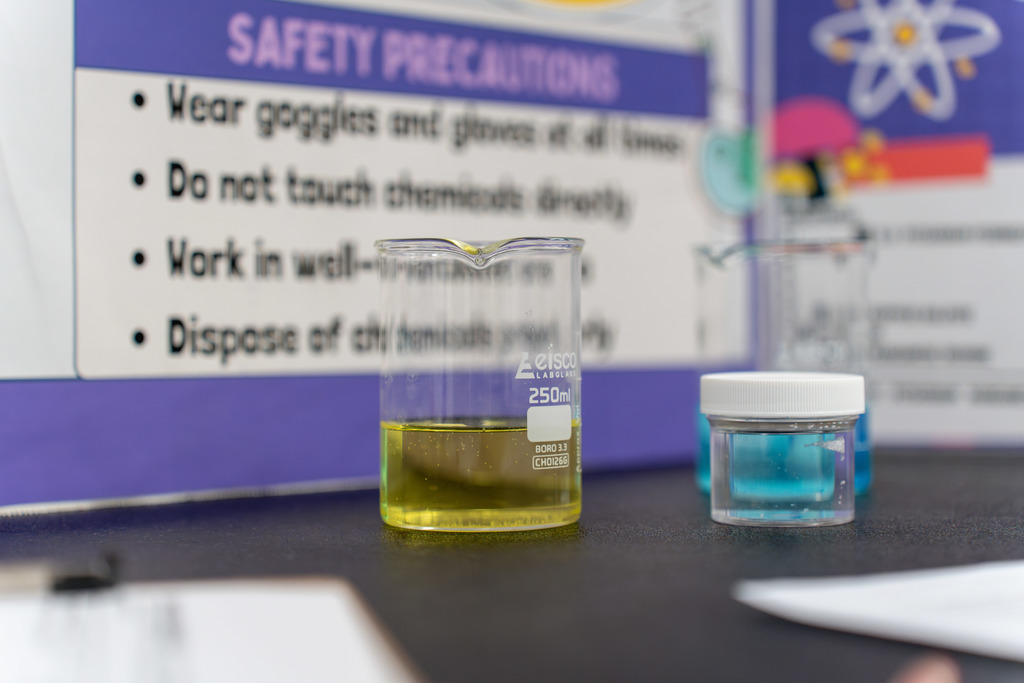 Science Fair project on display.