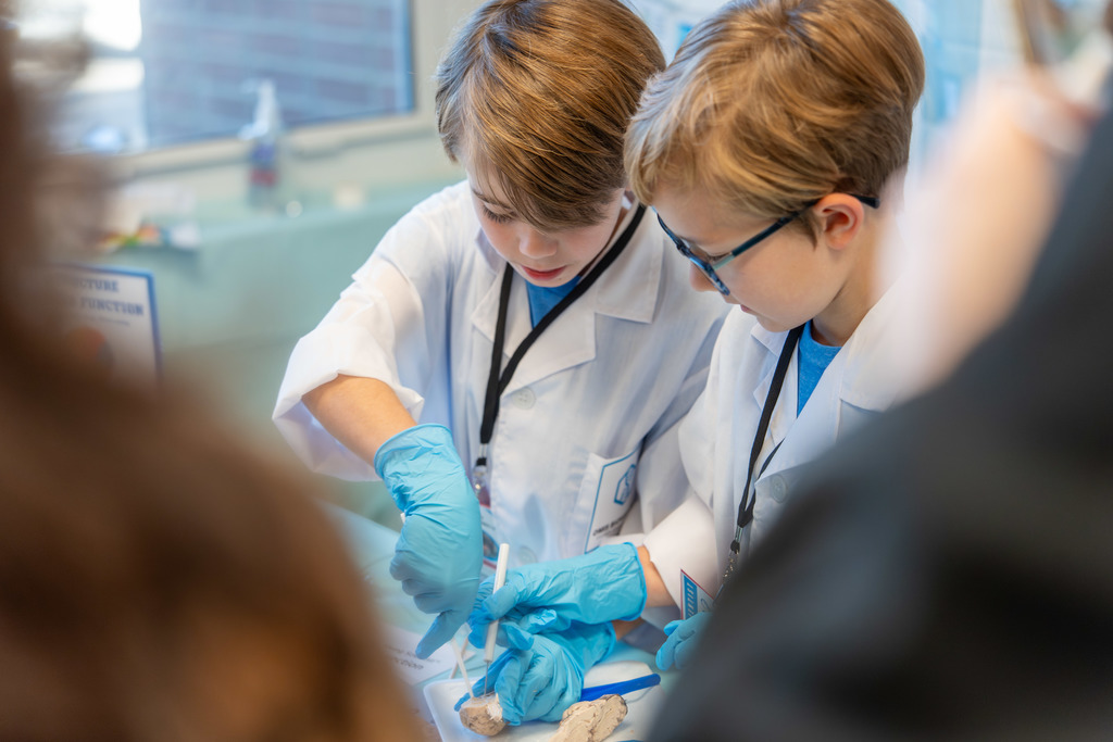Students showcase a science exhibit.