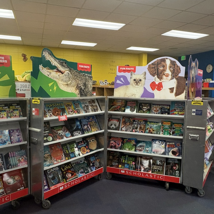 books on display at book fair 