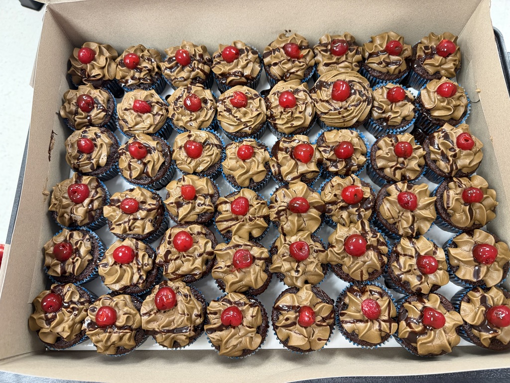 Cupcakes