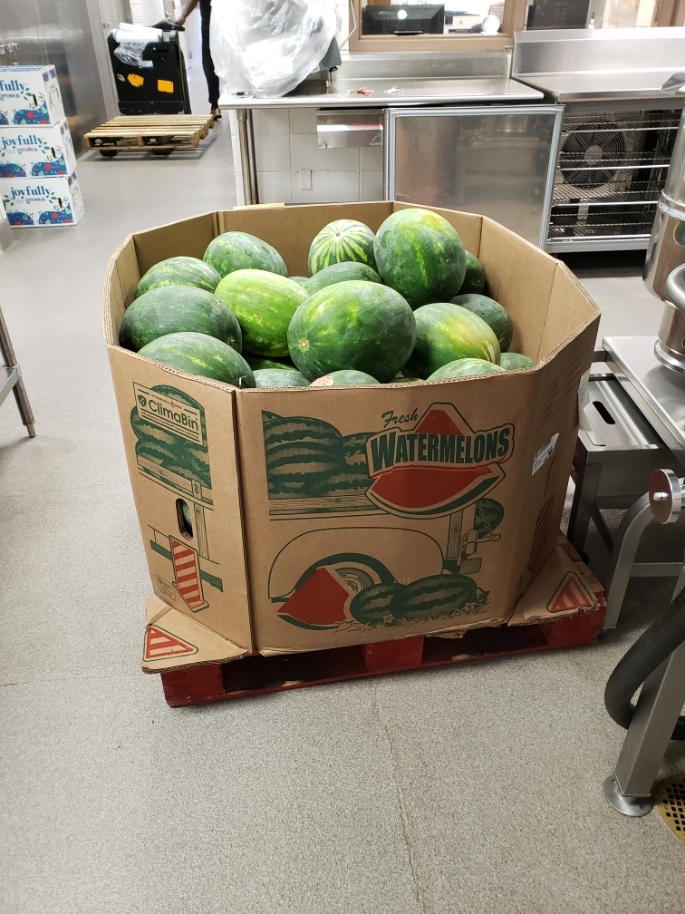 Summer Meal Distribution watermelons