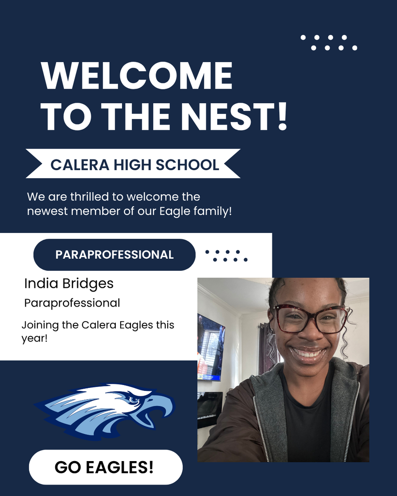 India Bridges