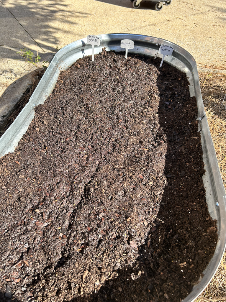 a metal trough for planting holds fresh dirt 
