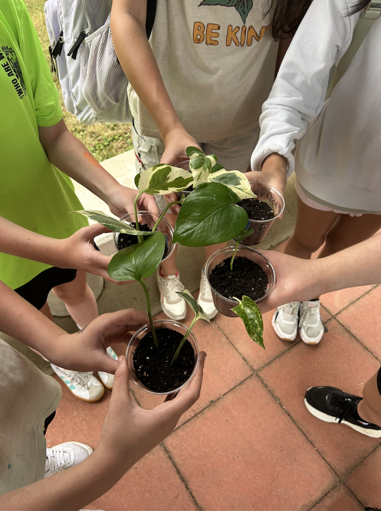 photo of students hands holding small clear cups of dirt and young plants 