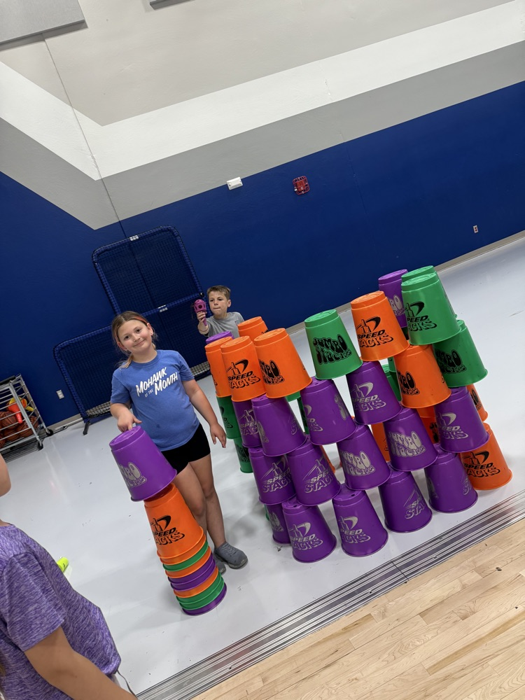 field day