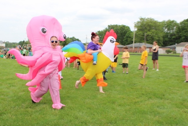 octopus and chicken are neck and neck