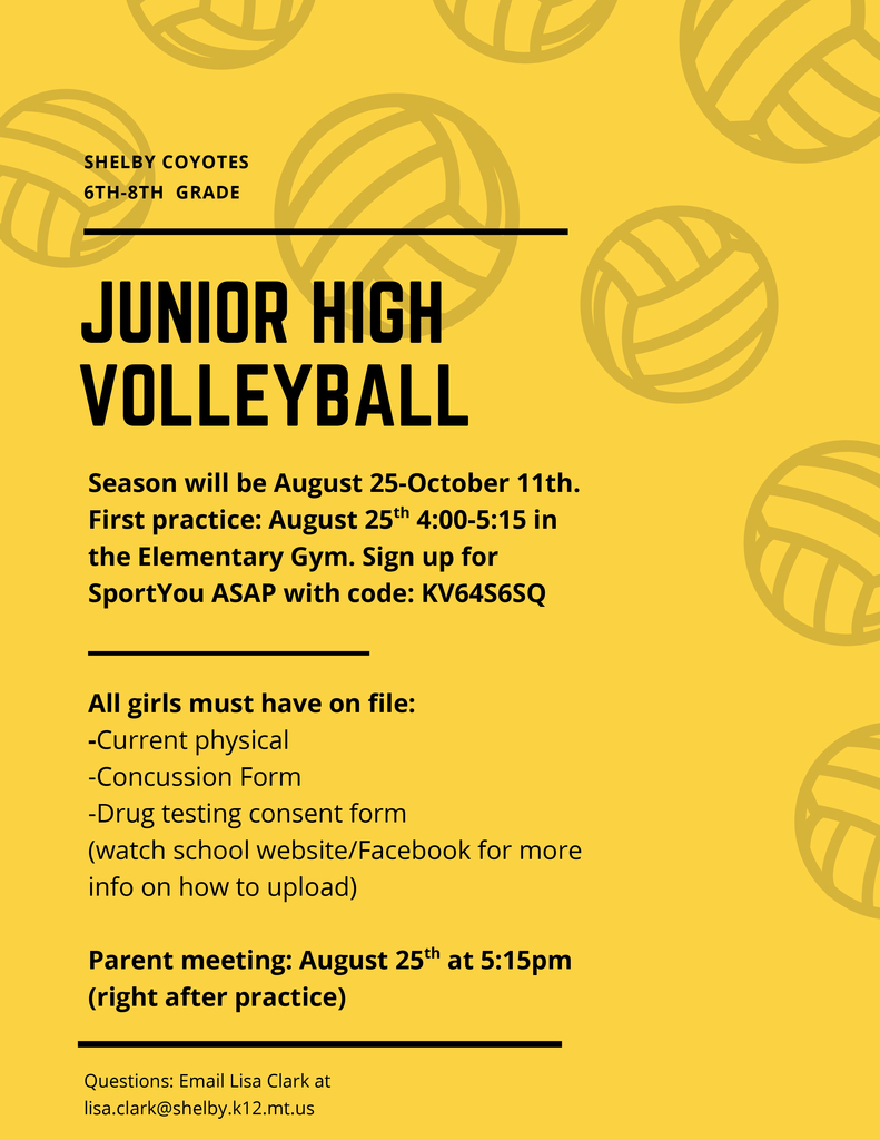 Junior High Volleyball 2025