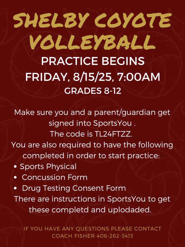 Volleyball Flyer 2025