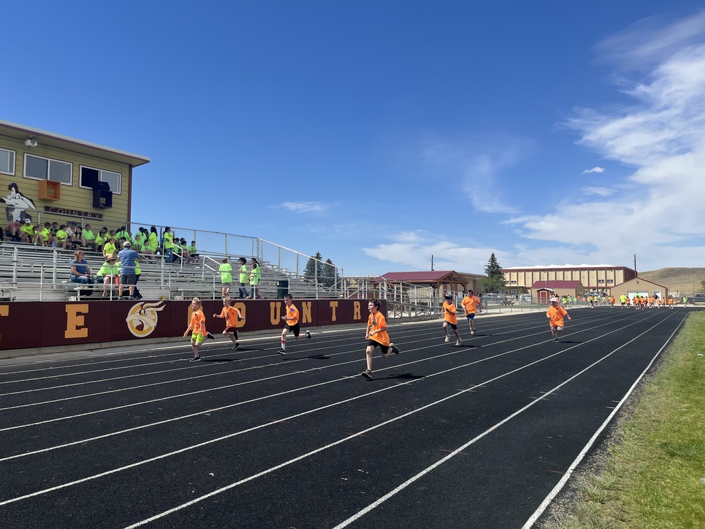 field day