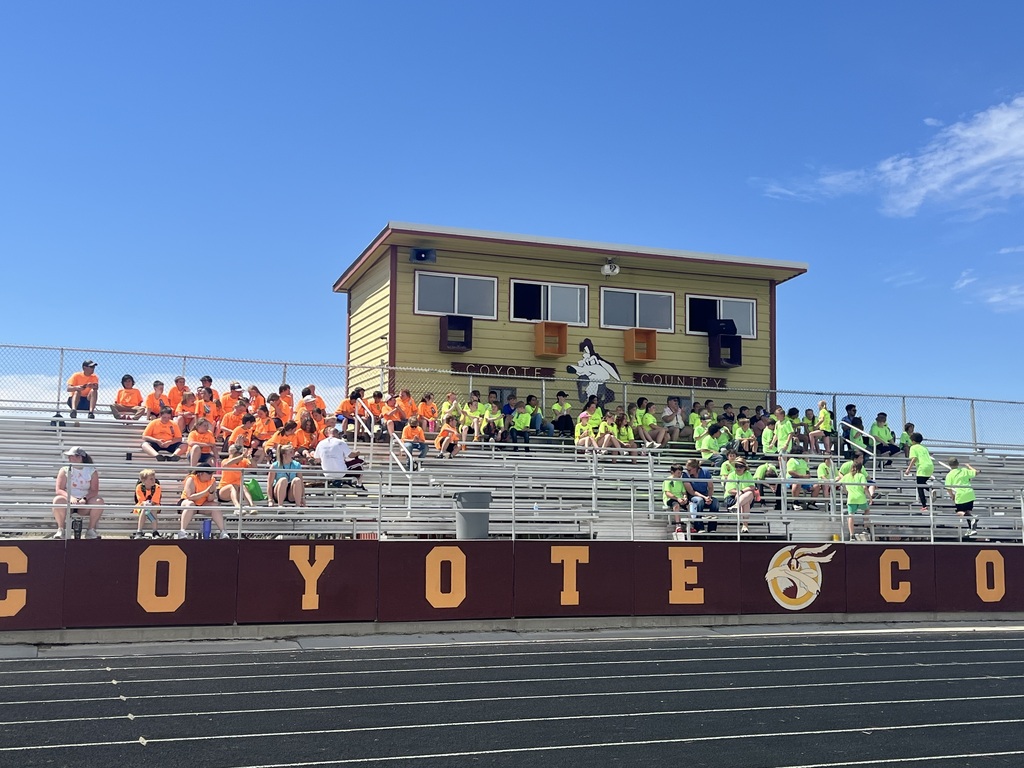 field day