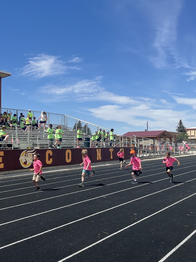 field day