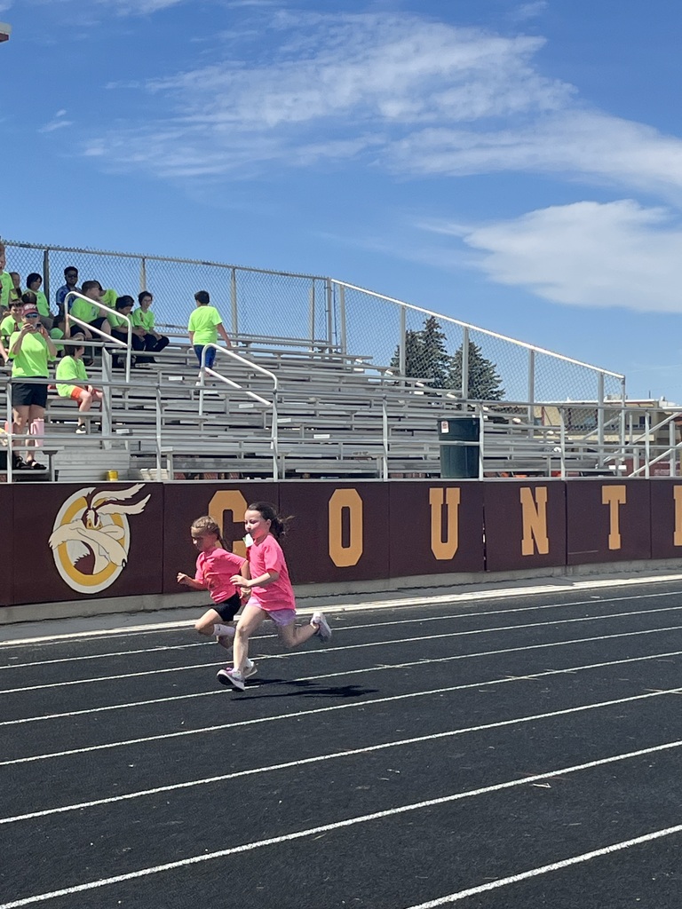 field day
