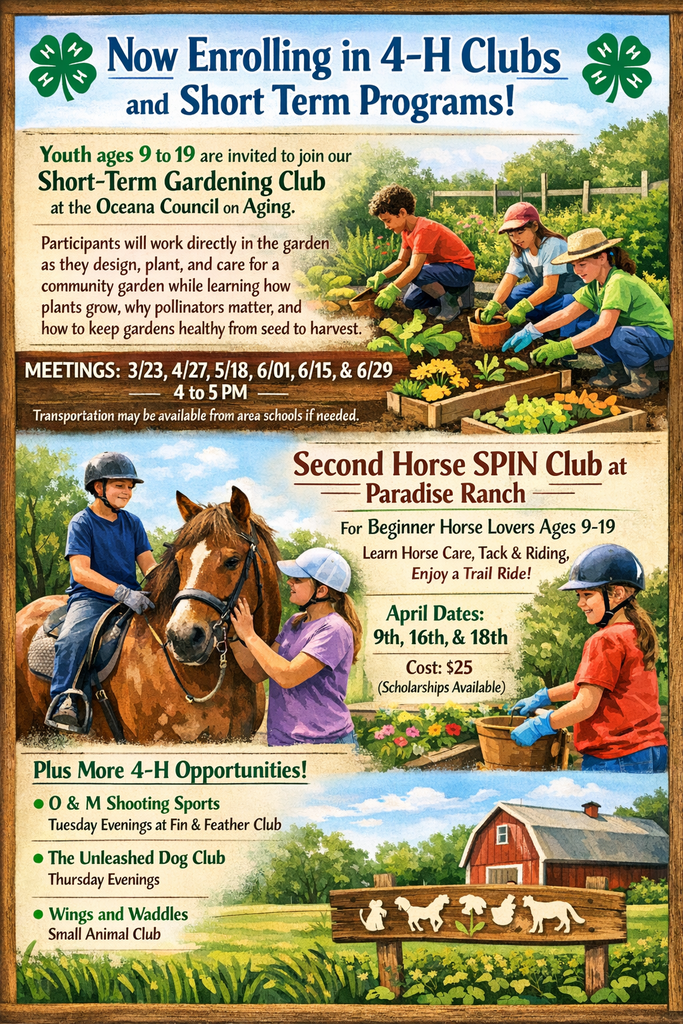 ChatGPT Image Feb 18, 2026, 08_09_06 AM