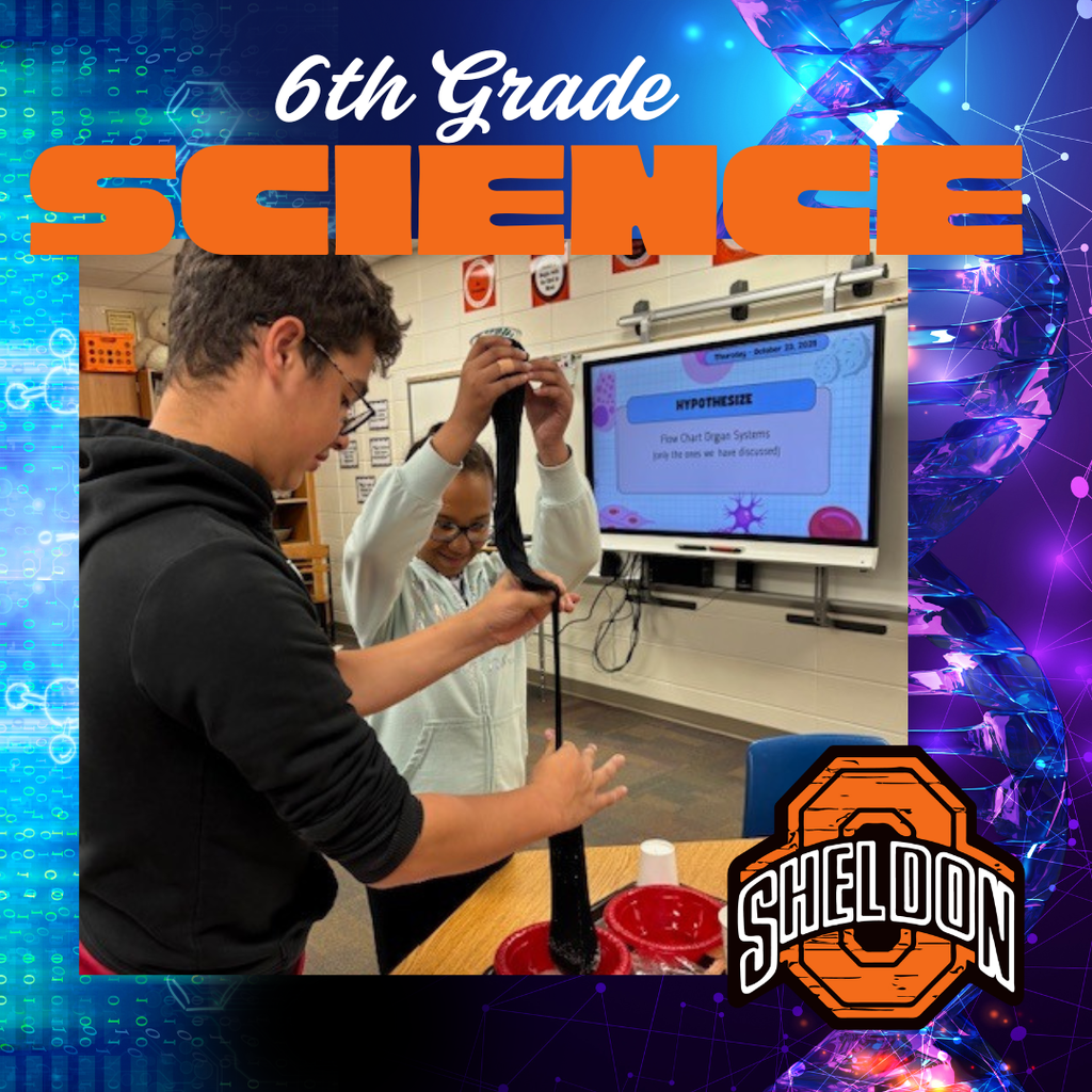 Sheldon Middle School sixth graders have been studying organ systems in science class. After learning about the digestive system, they completed a hands-on project that simulated the entire digestive process. Starting with a “bite” of cracker and banana, students followed the food’s journey through the stomach, into the intestines, and finally through excretion—bringing their learning to life in a memorable and interactive way.