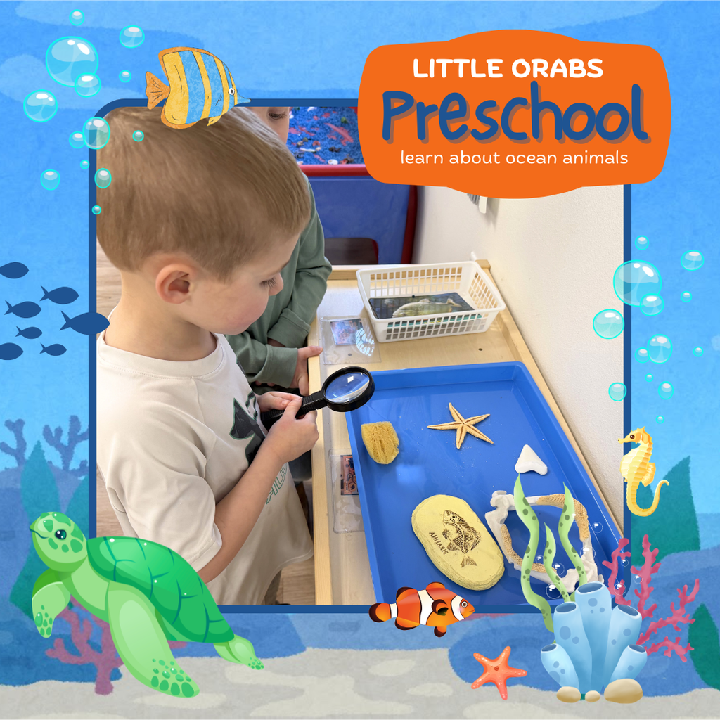 Our Little Orab Preschool students had so much fun diving into their ocean animal learning adventure!