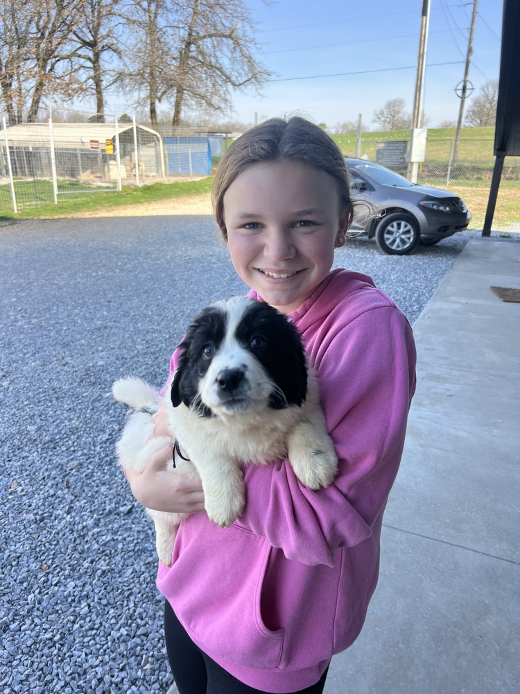 student with dog