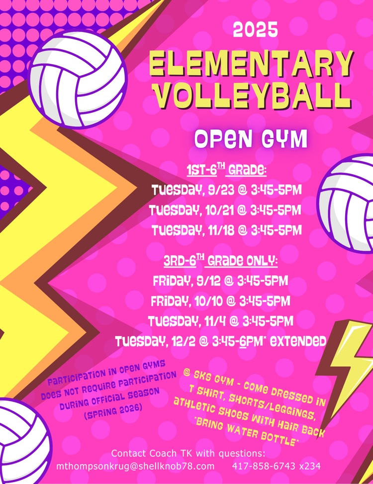 volleyball flyer