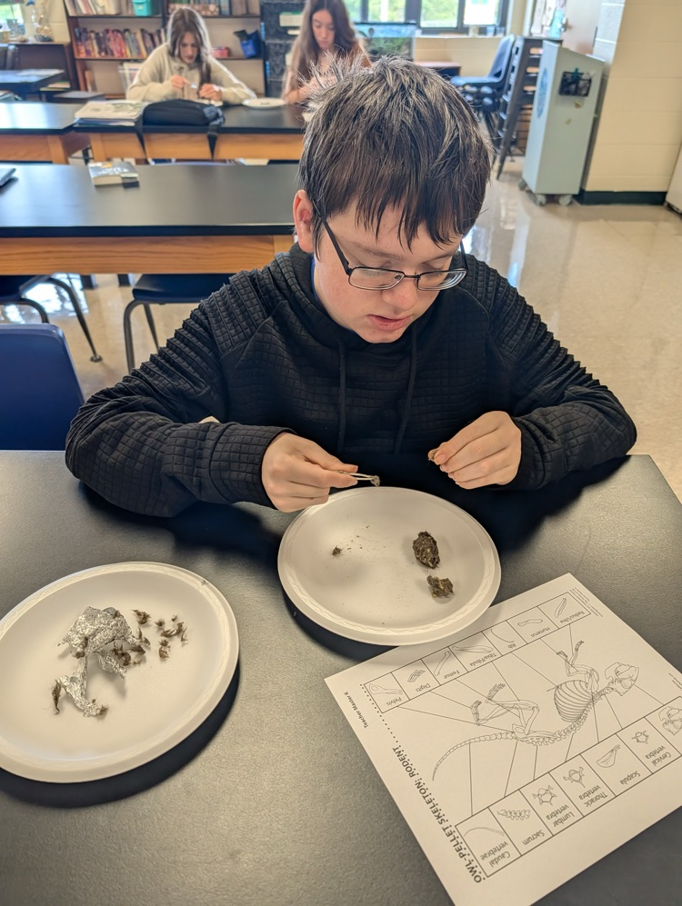 dissecting