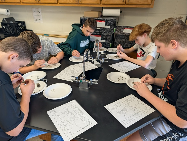 dissecting