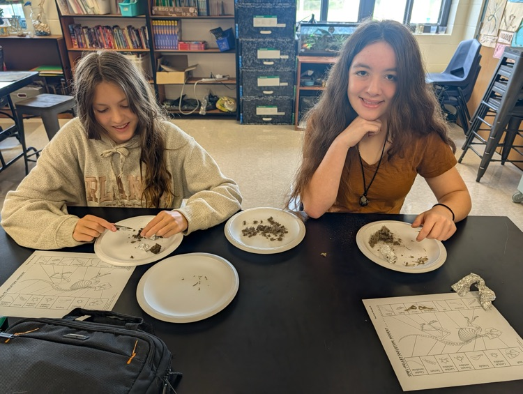 dissecting