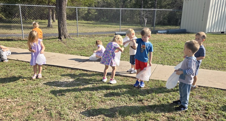 PreK looking at grass