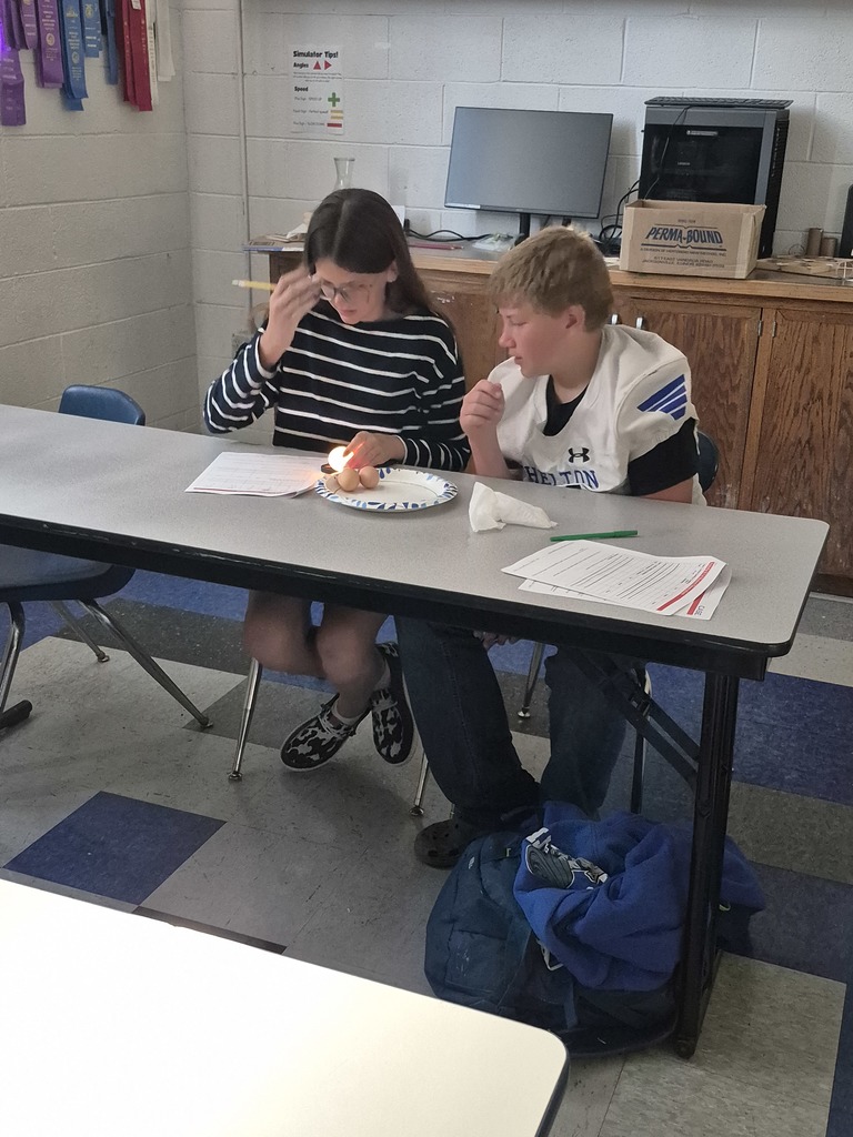 Students evaluating eggs for quality