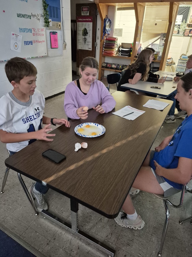 Students evaluating eggs for quality