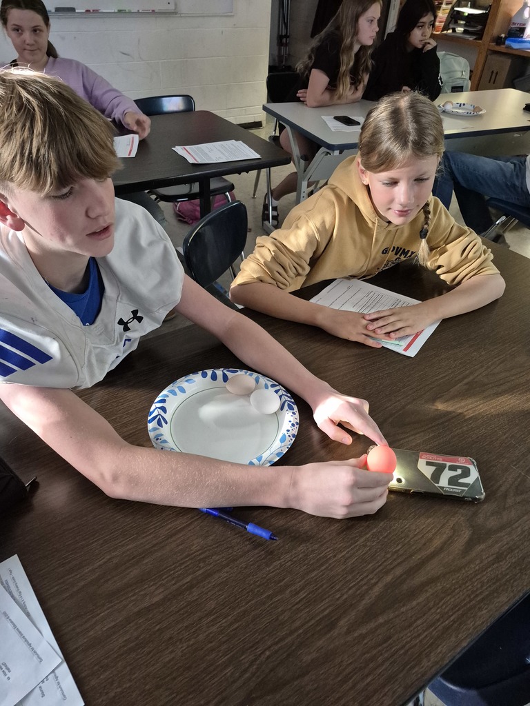 Students evaluating eggs for quality