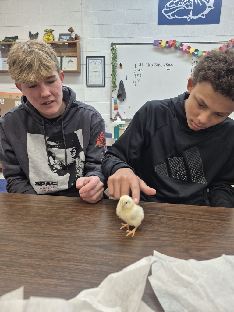 weston and letavion with chicken