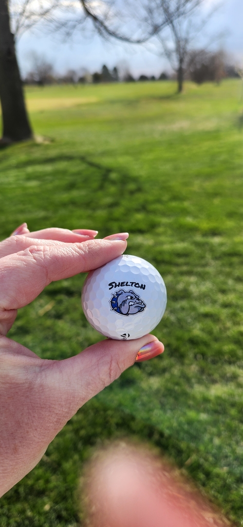 Shelton Golf Ball