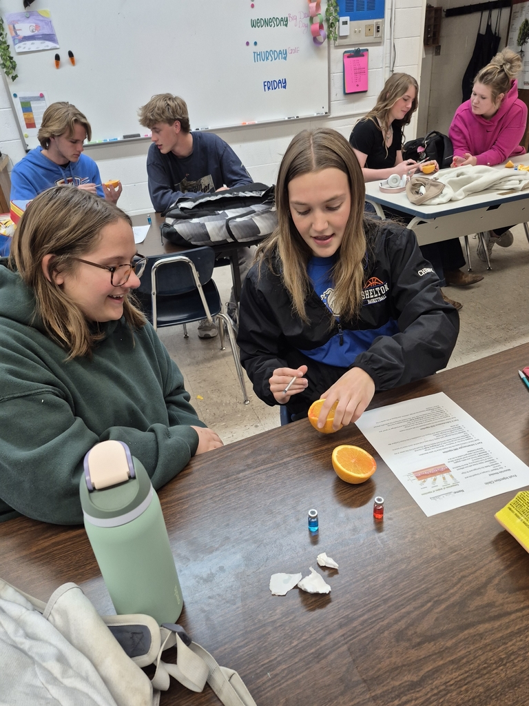 Susie and Shelby operating on their orange