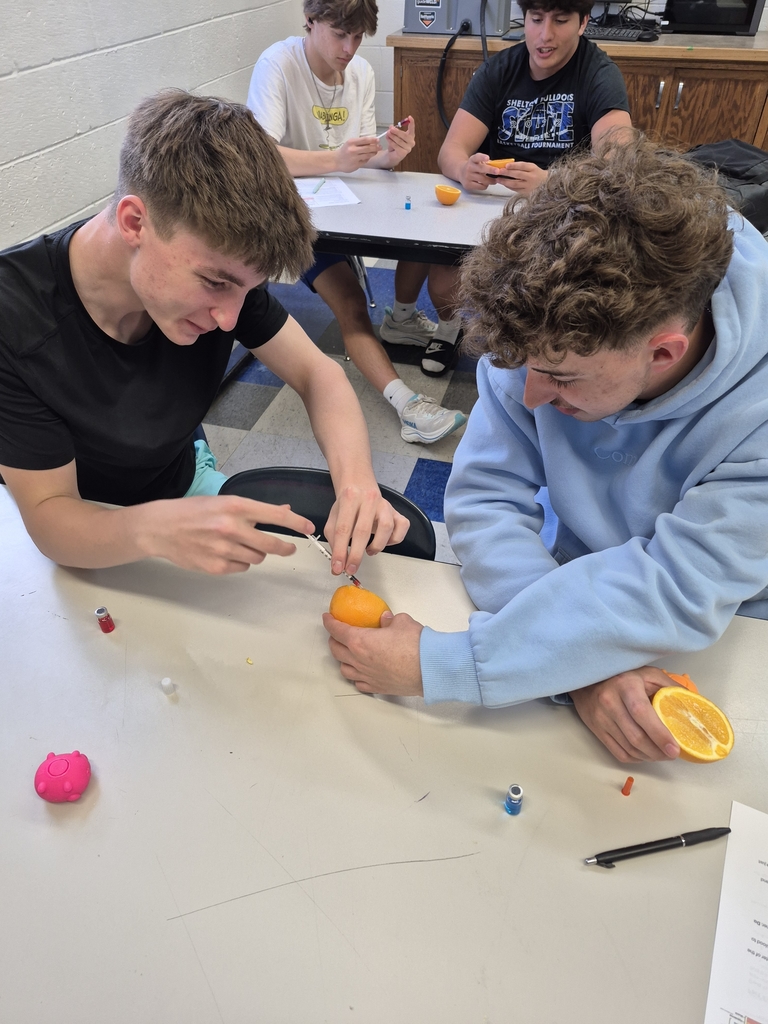 Jaxson and Reilly with their patient