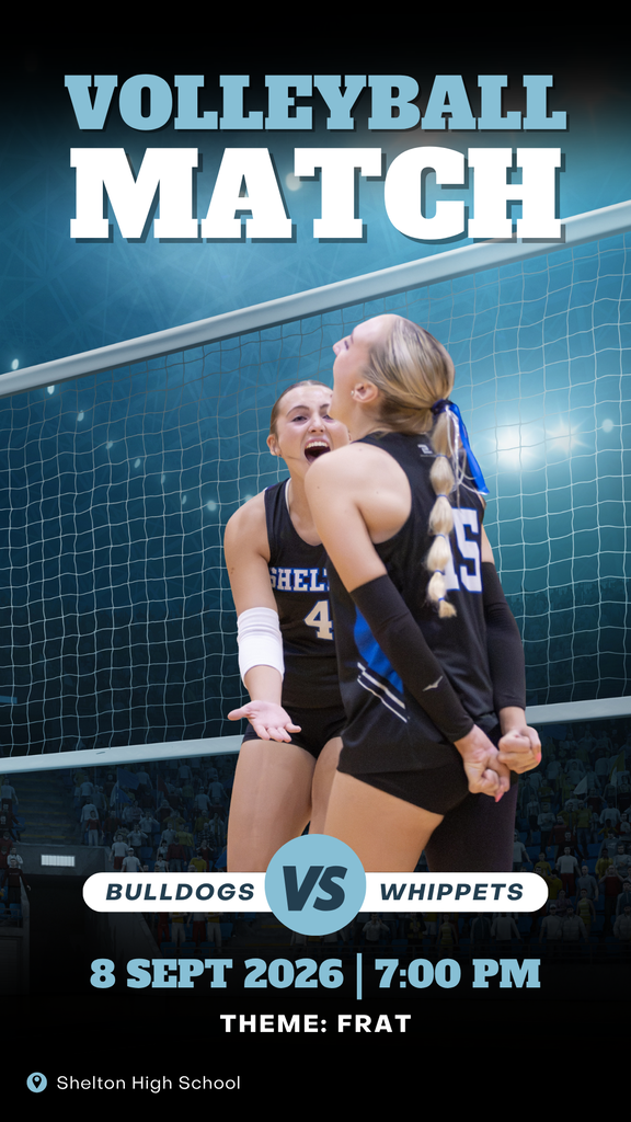 Minden Volleyball poster