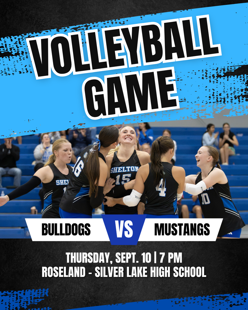 Volleyball poster in Roseland
