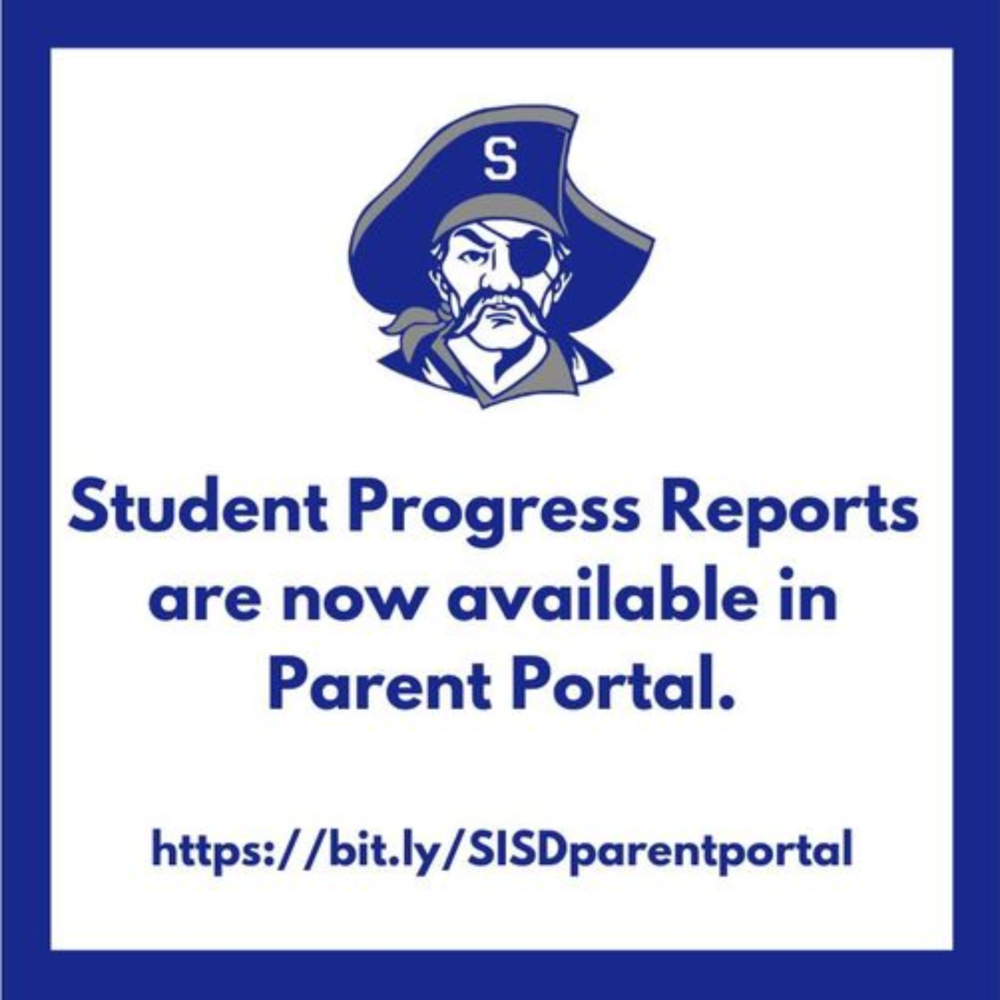 progress report 
