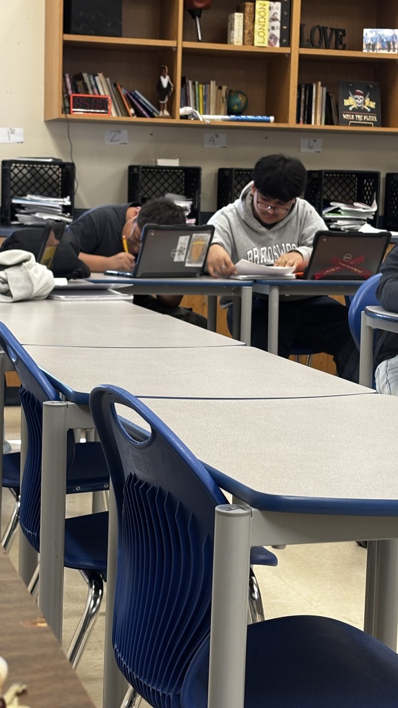 students working on projects