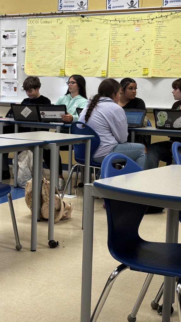 students working on projects