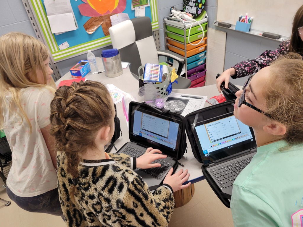 Students conduct surveys