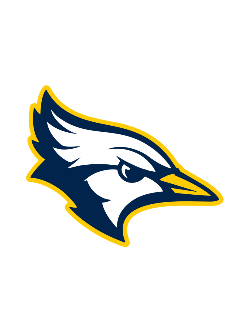 BlueJay logo