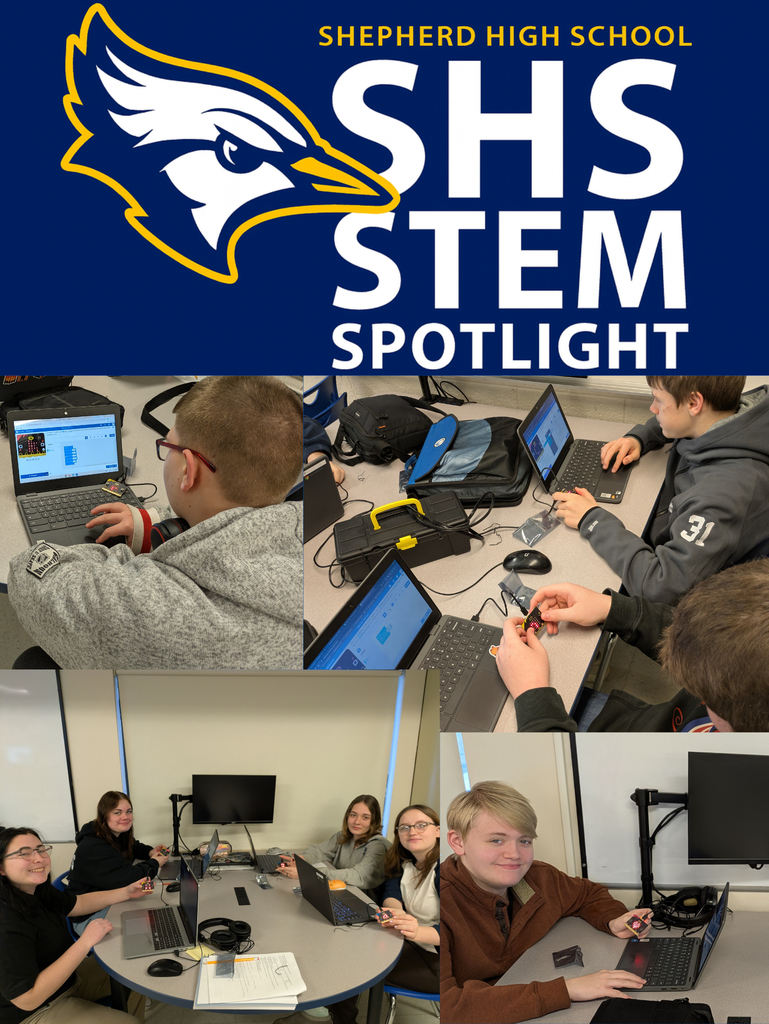 stem spotlight