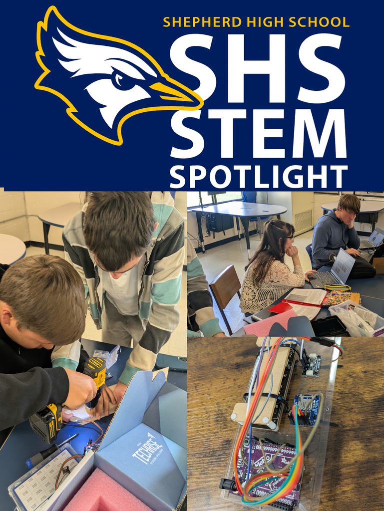 Stem Spotlight