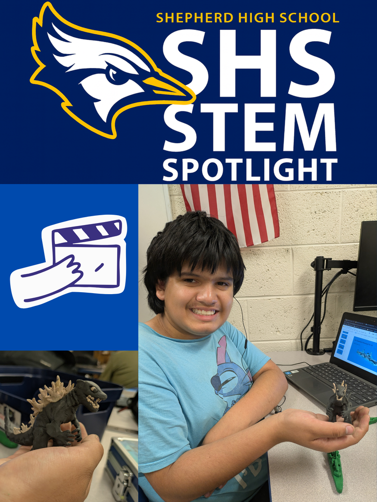 Stem Spotlight