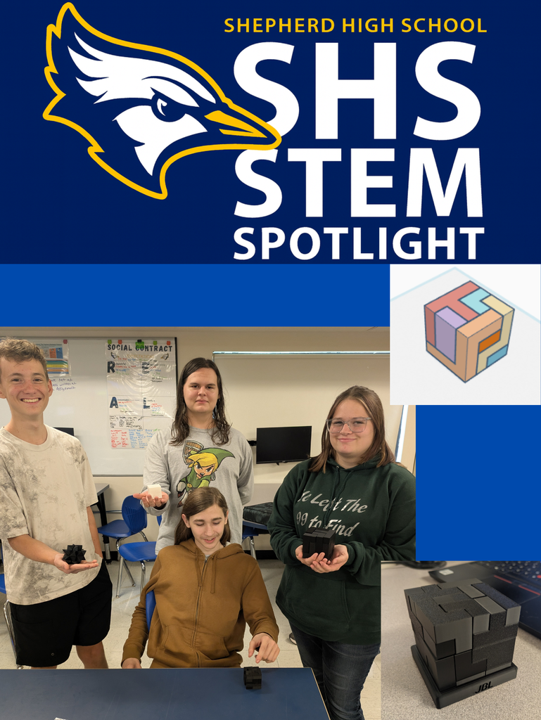 Stem Spotlight